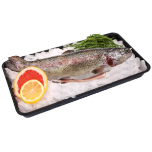 Zalmforel